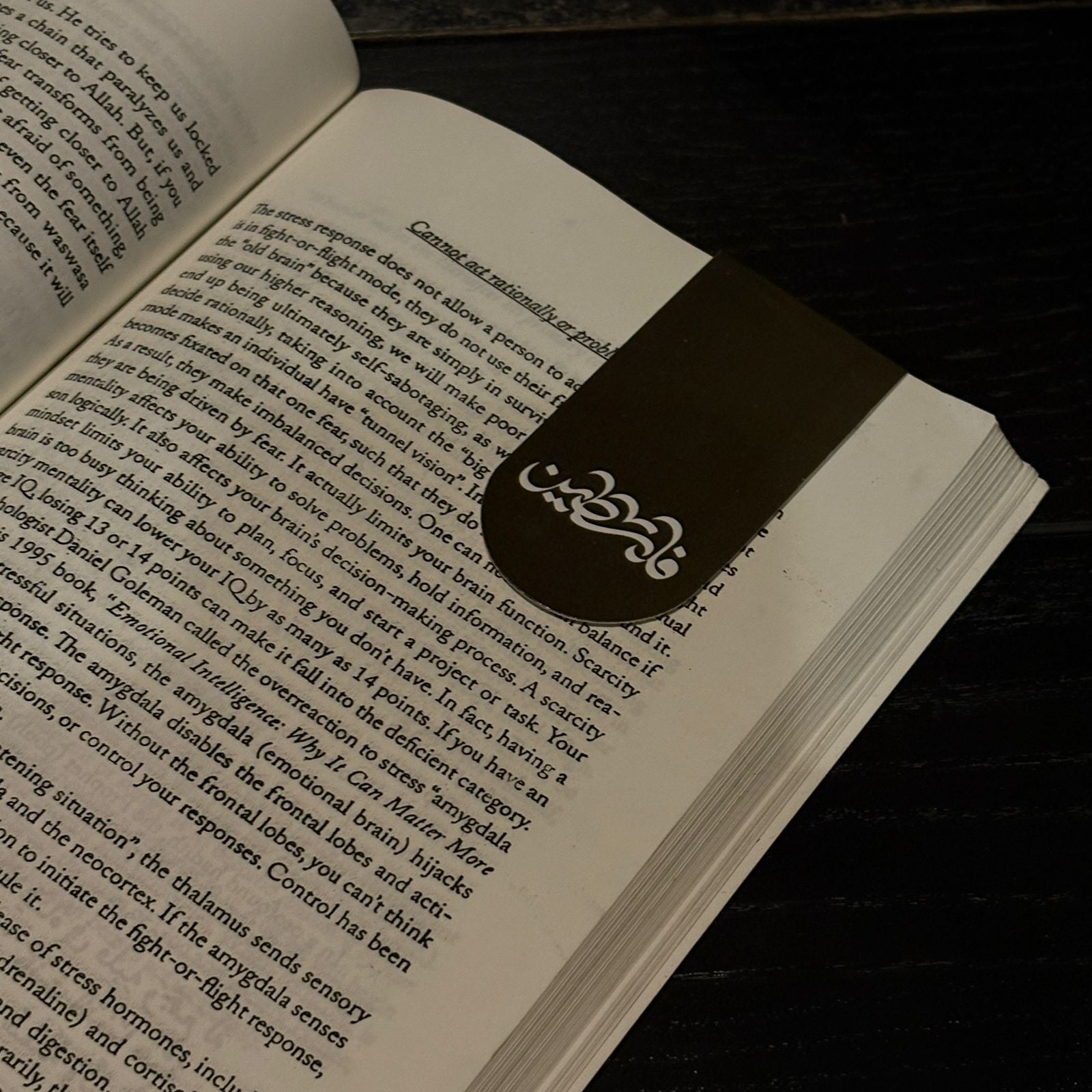 Magnetic bookmarks: Palestine themed